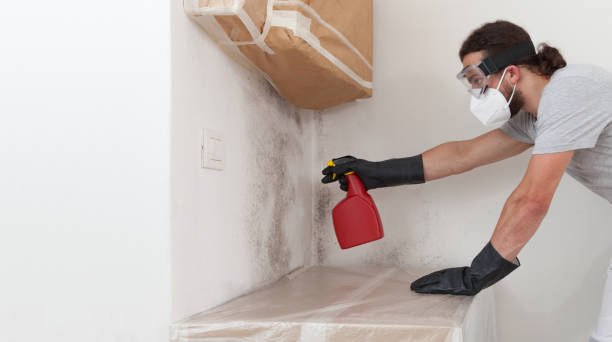 Professional Mold Remediation technician working in Rose Hill, VA