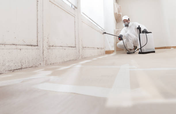 24/7 Emergency Mold Remediation experts in Rose Hill, VA