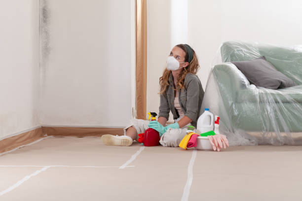 Reliable Mold Remediation contractor in Rose Hill, VA by 24 Hour Mold Removal